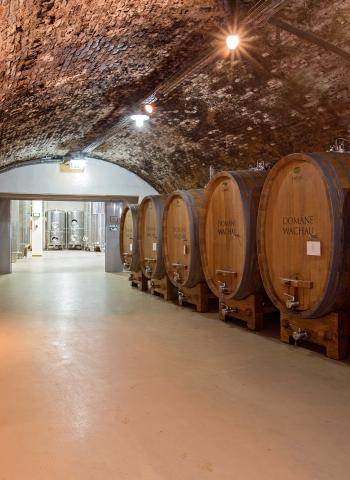 domane_wachau_keller_cdomane_wachau_loff