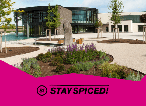 Stay Spiced !
